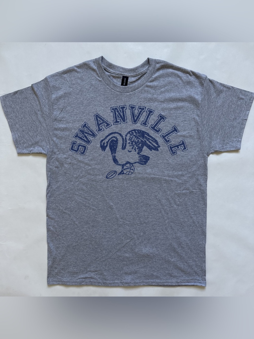Swanville physical education rec center Athletics team cotton jersey tee